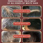 Herbal Hair Dye Shampoo | Natural Hair Coloring Shampoo | 5-Minute Hair Dye Shampoo | Herbal Gray Coverage Shampoo | Natural Hair Color Change Shampoo | Herbal Non-Irritating Hair Dye | Fast Acting Hair Dye Shampoo | Herbal Repairing Hair Color Shampoo | Natural Hair Dye for Men and Women | Herbal Anti-Gray Hair Shampoo